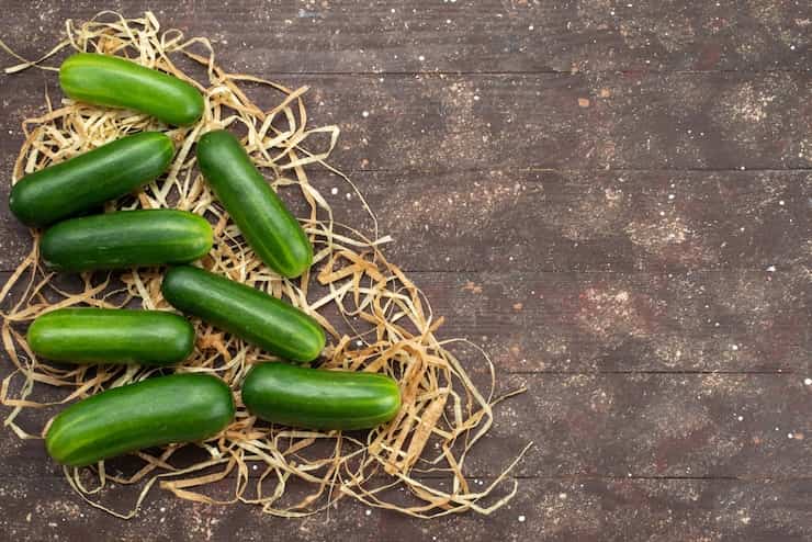 خیار بوته‌ ای تازه شمالی